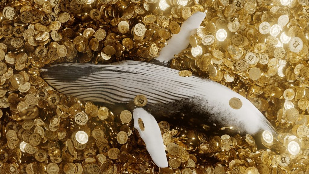 Milliarden-Transfer auf Coinbase: Wale kaufen immer größere Mengen Bitcoin
