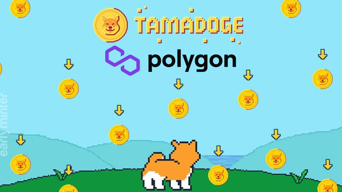 Tamadoge Polygon