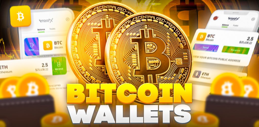 Bitcoin Wallets aktiv