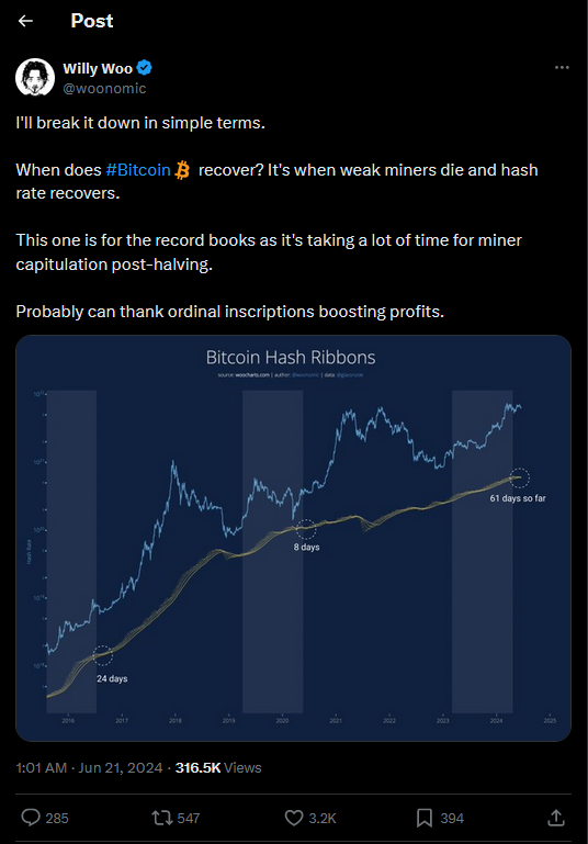 Miner Kapitulation Willy Woo Tweet