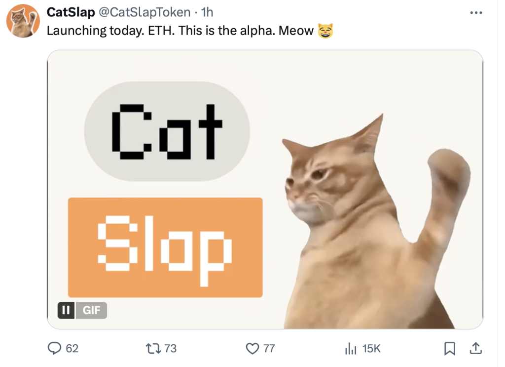 Catslap