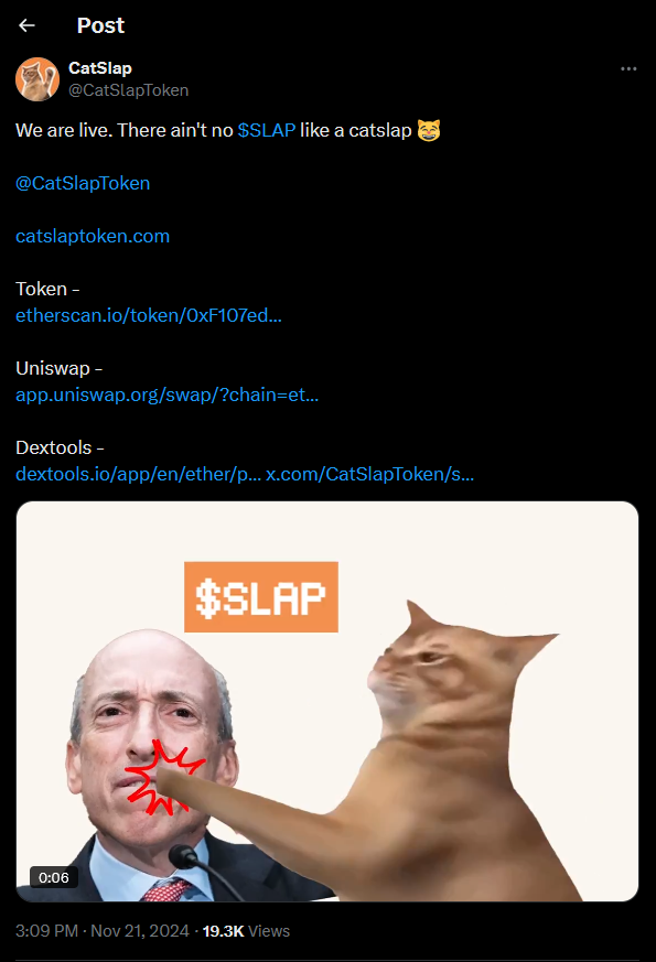 Catslap Tweet