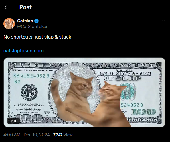 catslap slap