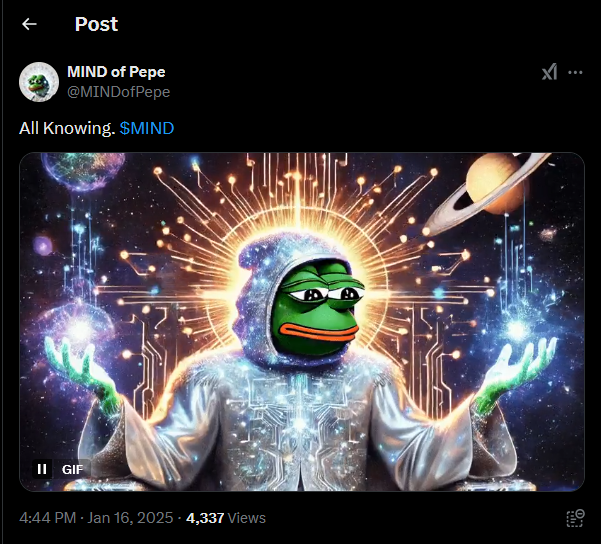 Mind of Pepe Presale