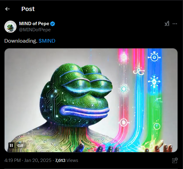 Mind of Pepe Tweet 3