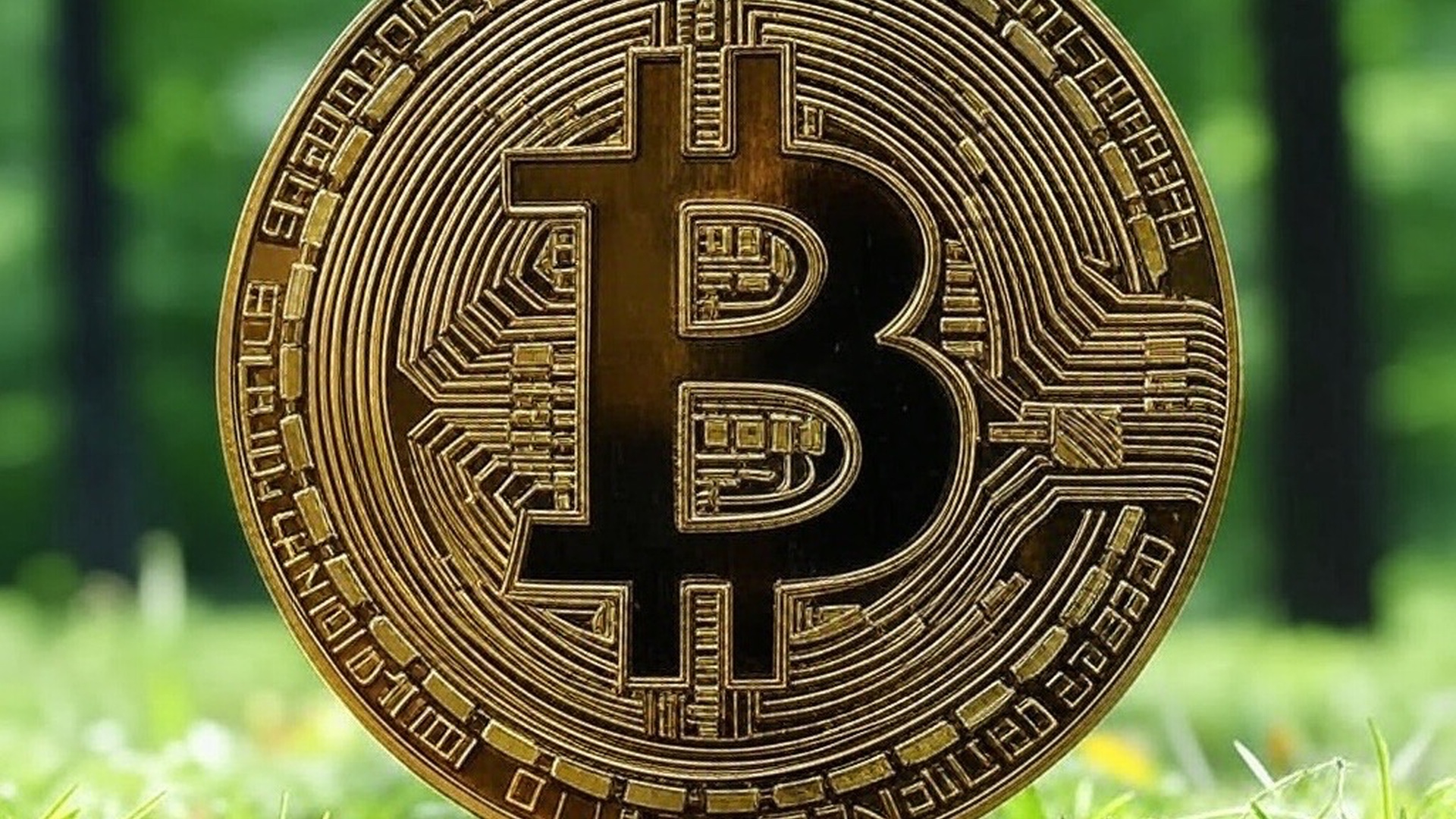 Bitcoin-Kurserholung und US-Steuersenkungen: Neue Investmentchancen?